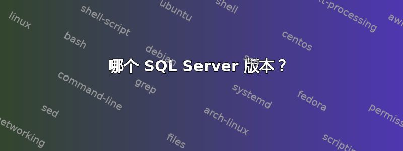 哪个 SQL Server 版本？