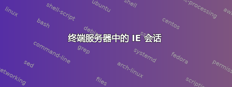 终端服务器中的 IE 会话