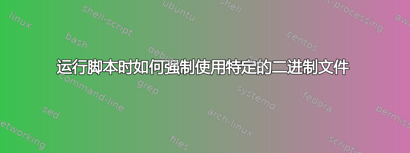 运行脚本时如何强制使用特定的二进制文件