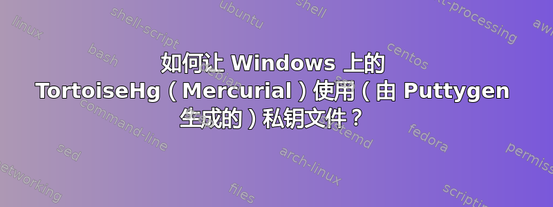 如何让 Windows 上的 TortoiseHg（Mercurial）使用（由 Puttygen 生成的）私钥文件？