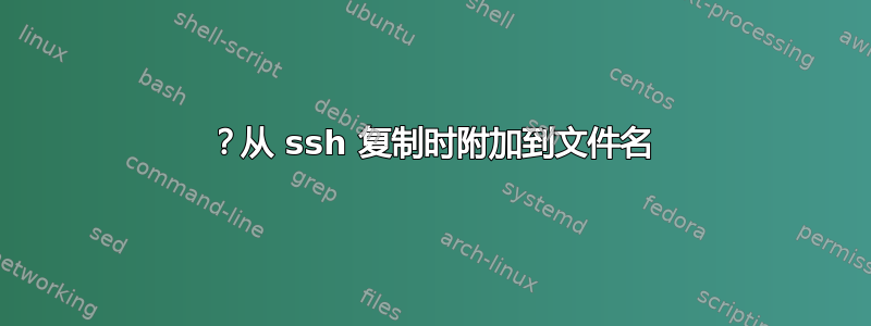 ？从 ssh 复制时附加到文件名