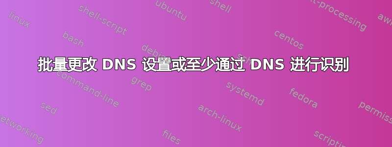 批量更改 DNS 设置或至少通过 DNS 进行识别