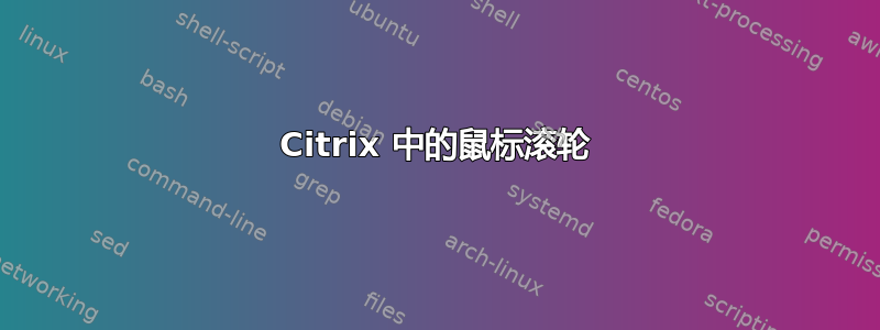 Citrix 中的鼠标滚轮