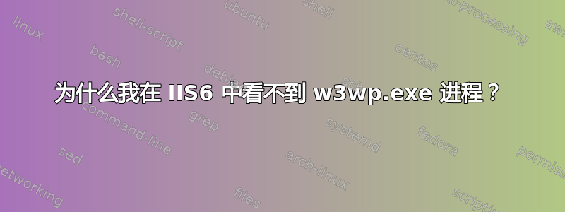 为什么我在 IIS6 中看不到 w3wp.exe 进程？