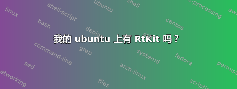 我的 ubuntu 上有 RtKit 吗？