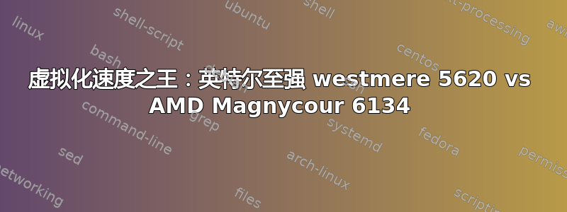 虚拟化速度之王：英特尔至强 westmere 5620 vs AMD Magnycour 6134