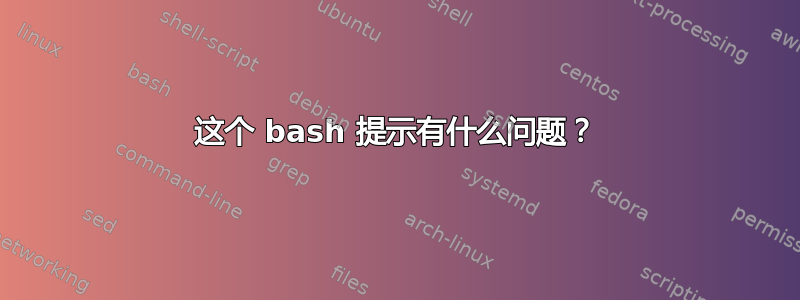 这个 bash 提示有什么问题？