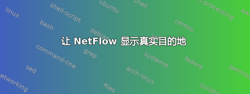 让 NetFlow 显示真实目的地