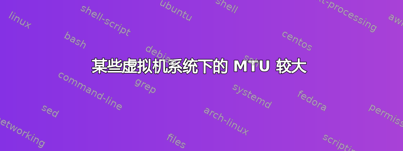 某些虚拟机系统下的 MTU 较大