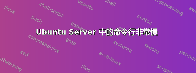 Ubuntu Server 中的命令行非常慢