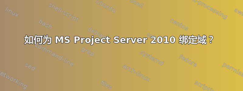 如何为 MS Project Server 2010 绑定域？