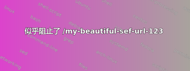 似乎阻止了 /my-beautiful-sef-url-123