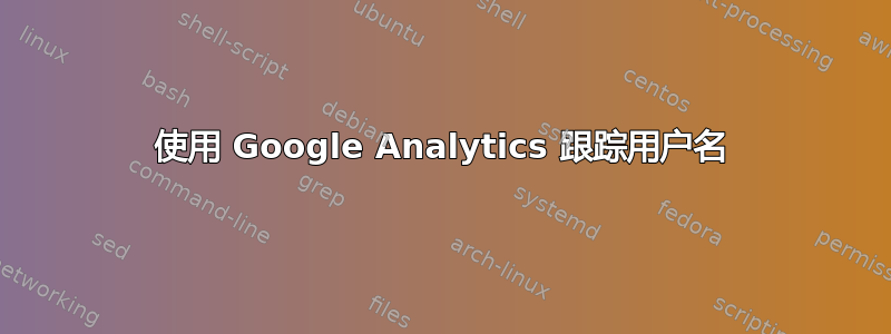 使用 Google Analytics 跟踪用户名