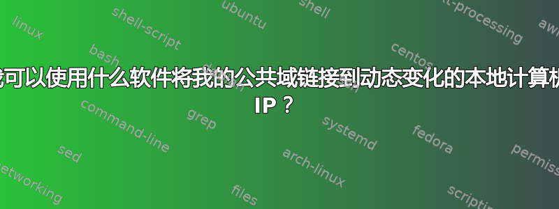 我可以使用什么软件将我的公共域链接到动态变化的本地计算机 IP？