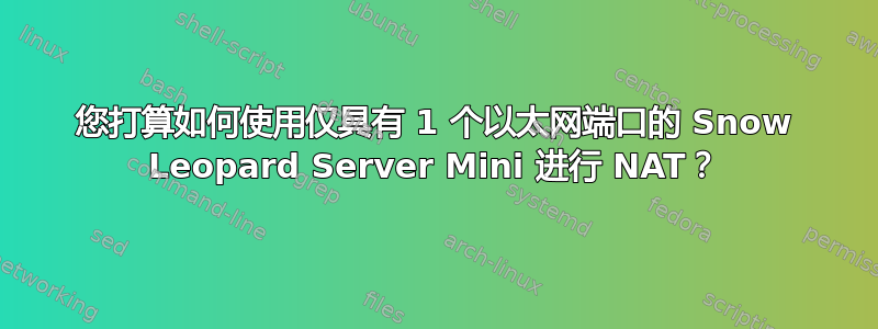 您打算如何使用仅具有 1 个以太网端口的 Snow Leopard Server Mini 进行 NAT？