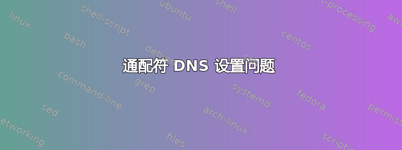 通配符 DNS 设置问题