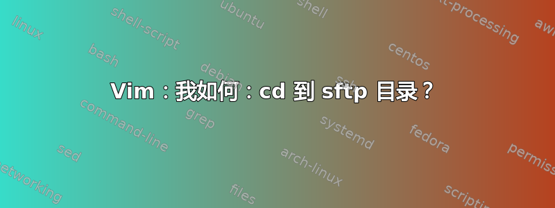 Vim：我如何：cd 到 sftp 目录？