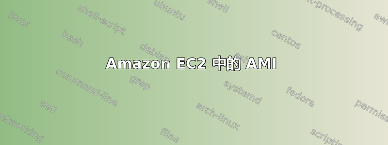 Amazon EC2 中的 AMI