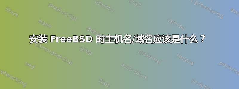 安装 FreeBSD 时主机名/域名应该是什么？