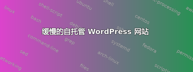 缓慢的自托管 WordPress 网站