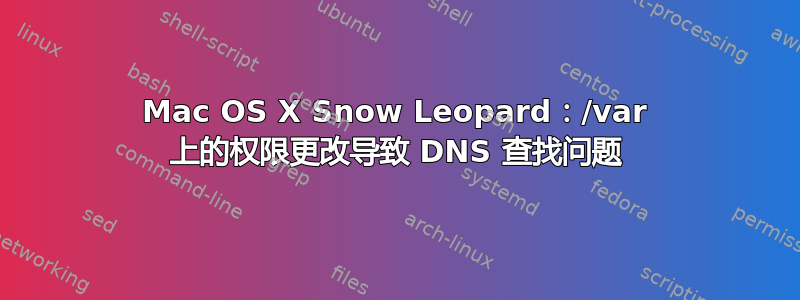 Mac OS X Snow Leopard：/var 上的权限更改导致 DNS 查找问题