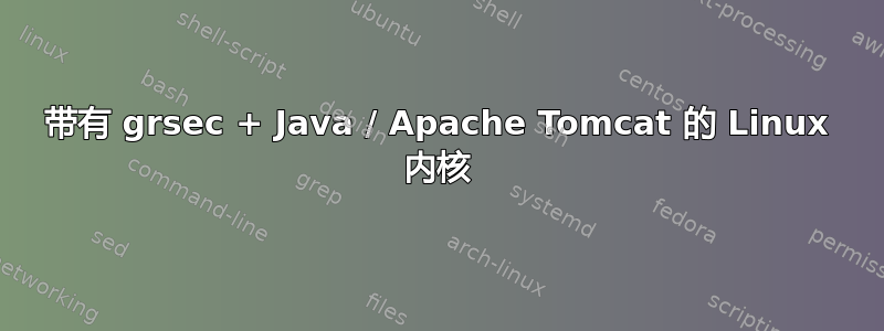 带有 grsec + Java / Apache Tomcat 的 Linux 内核