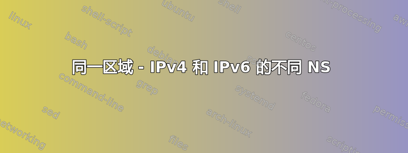 同一区域 - IPv4 和 IPv6 的不同 NS