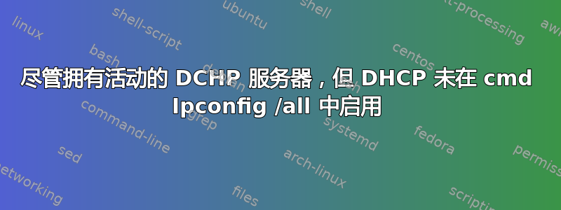 尽管拥有活动的 DCHP 服务器，但 DHCP 未在 cmd Ipconfig /all 中启用