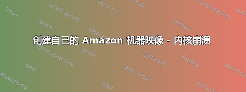 创建自己的 Amazon 机器映像 - 内核崩溃