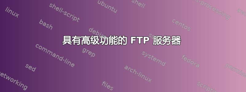 具有高级功能的 FTP 服务器