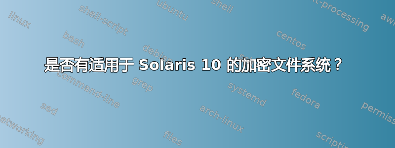 是否有适用于 Solaris 10 的加密文件系统？