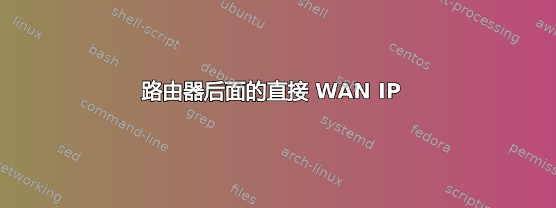 路由器后面的直接 WAN IP 