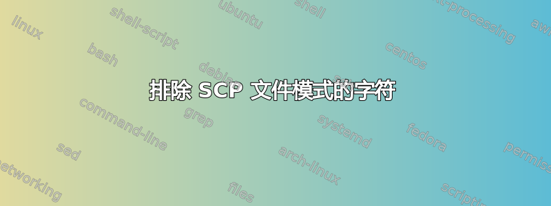 排除 SCP 文件模式的字符