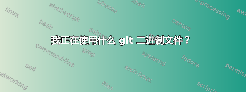 我正在使用什么 git 二进制文件？