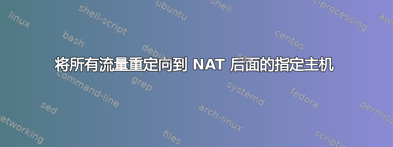 将所有流量重定向到 NAT 后面的指定主机