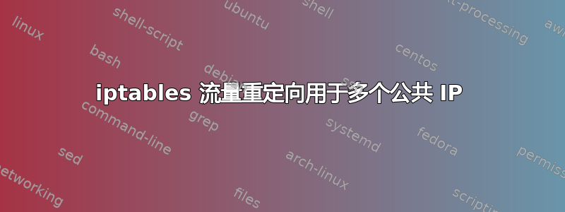 iptables 流量重定向用于多个公共 IP