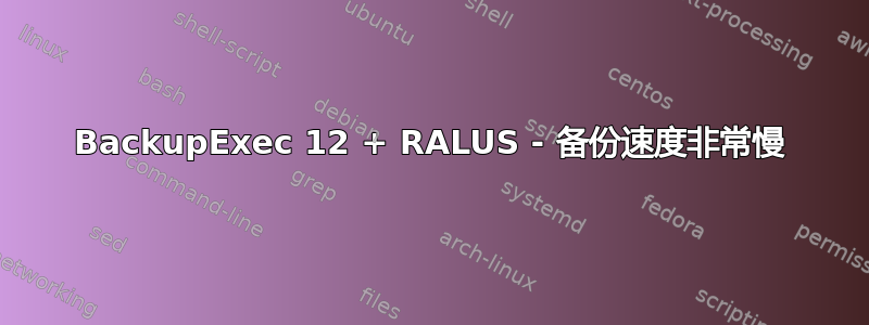 BackupExec 12 + RALUS - 备份速度非常慢