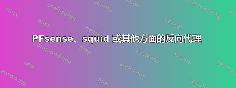 PFsense、squid 或其他方面的反向代理