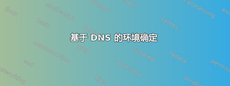 基于 DNS 的环境确定