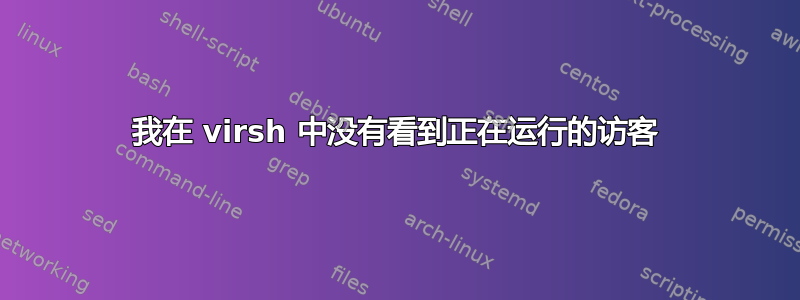 我在 virsh 中没有看到正在运行的访客