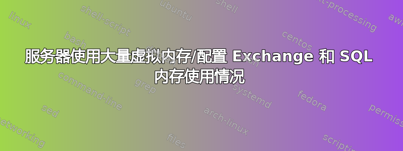 服务器使用大量虚拟内存/配置 Exchange 和 SQL 内存使用情况