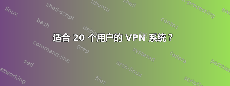 适合 20 个用户的 VPN 系统？