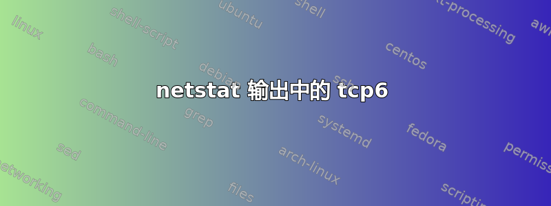 netstat 输出中的 tcp6