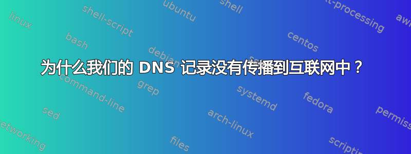 为什么我们的 DNS 记录没有传播到互联网中？