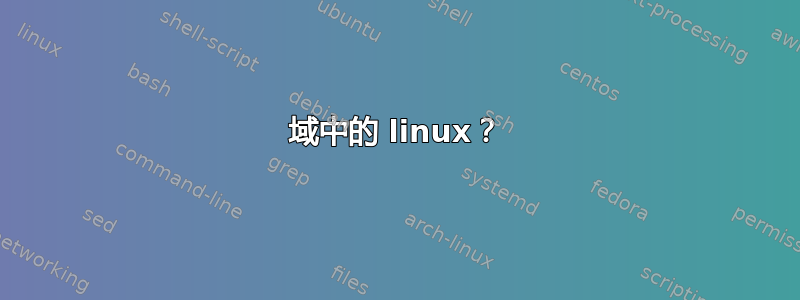 域中的 linux？