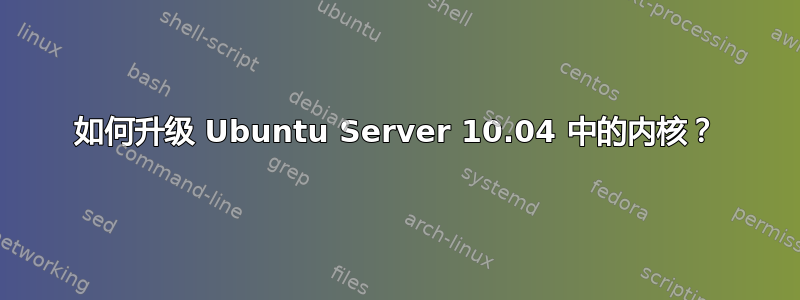 如何升级 Ubuntu Server 10.04 中的内核？