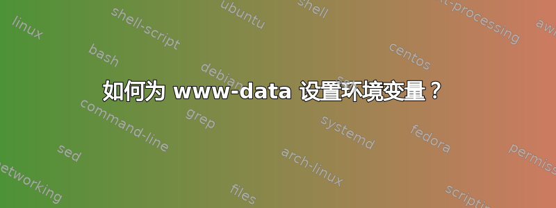 如何为 www-data 设置环境变量？