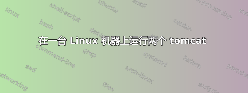 在一台 Linux 机器上运行两个 tomcat