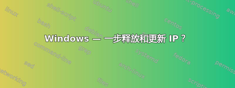 Windows — 一步释放和更新 IP？