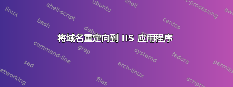 将域名重定向到 IIS 应用程序